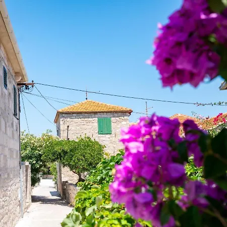 By The Sea Postira, Brac - 14822 Апартаменты *